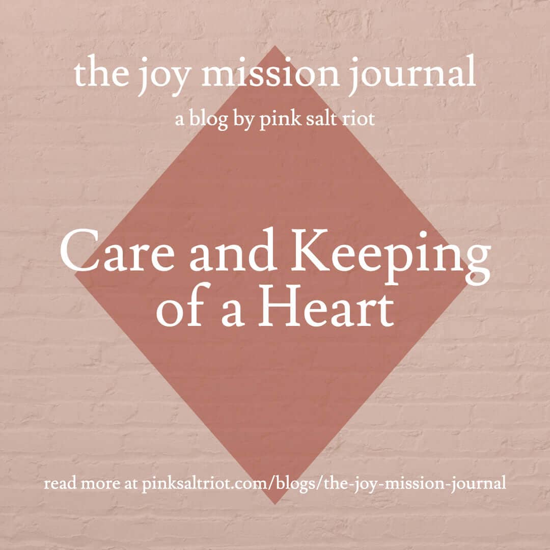 Care and Keeping of a Heart - Pink Salt Riot