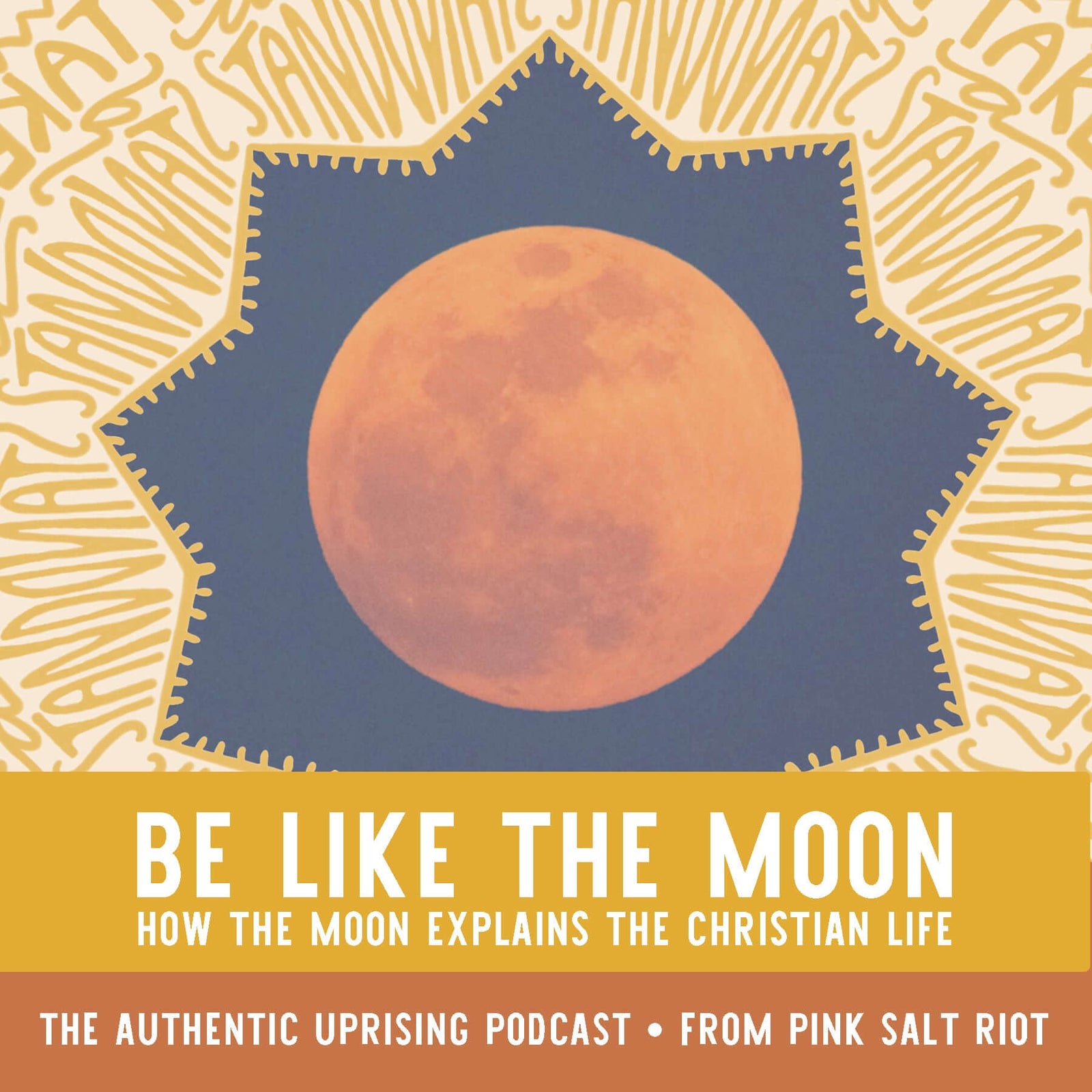 Ep 2.2: What The Moon Can Teach Us - Pink Salt Riot