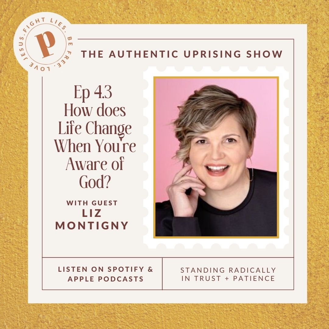 Ep 4.3 How does life change when you're aware of God? with Liz Montigny - Pink Salt Riot