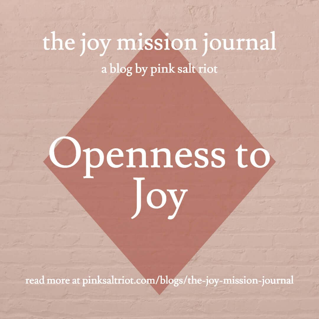 Openness to Joy - Pink Salt Riot