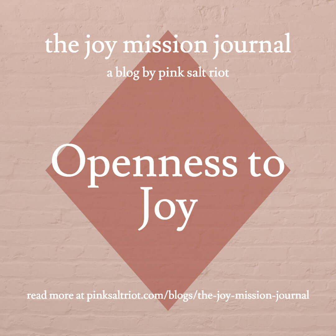 Openness to Joy - Pink Salt Riot