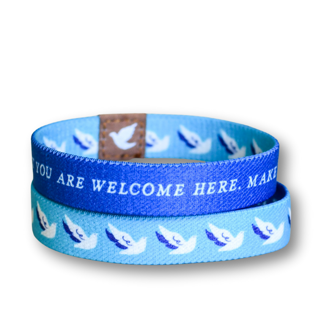 Holy Spirit TruthBands for the Family-Pink Salt Riot