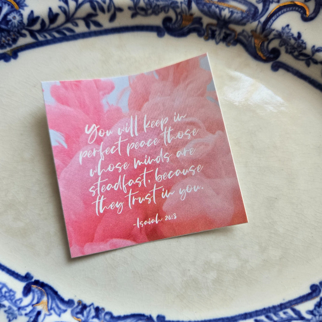 Perfect Peace Vinyl Sticker-Pink Salt Riot- on plate