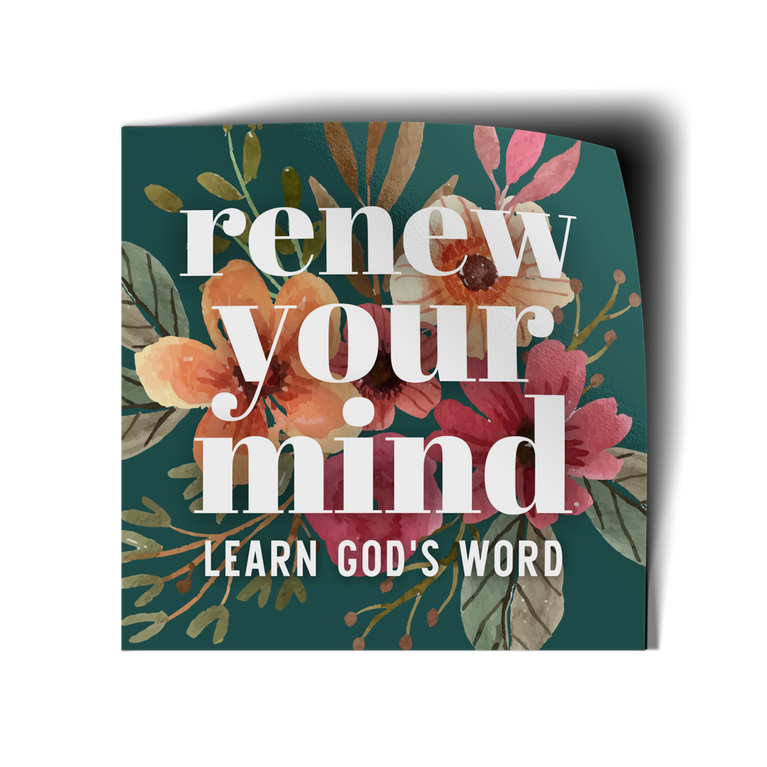 Renew Your Mind Vinyl Sticker-Pink Salt Riot