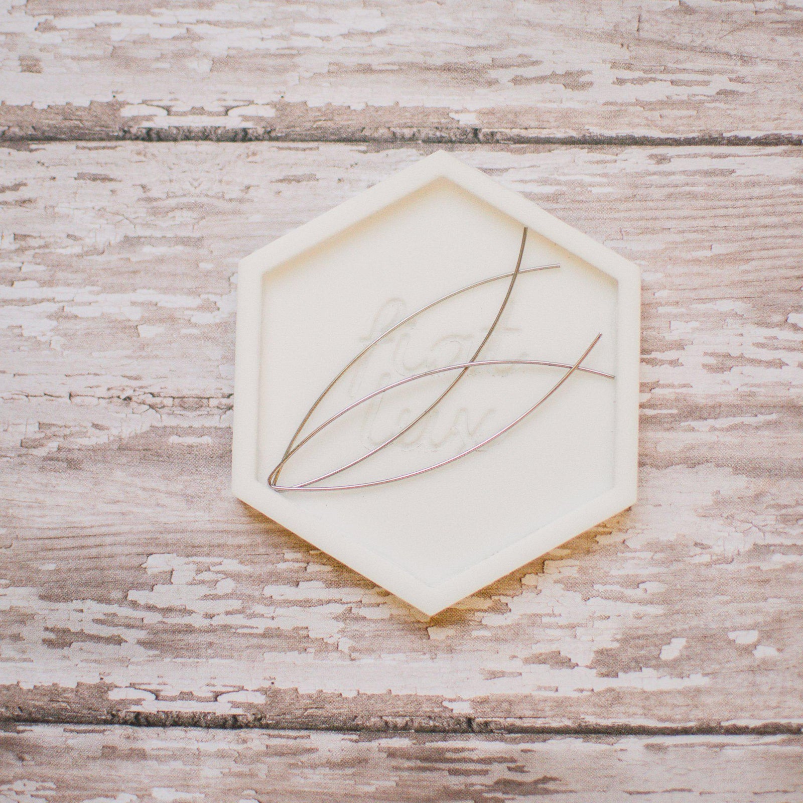 Fishers of Men Minimalist Earrings - Pink Salt Riot