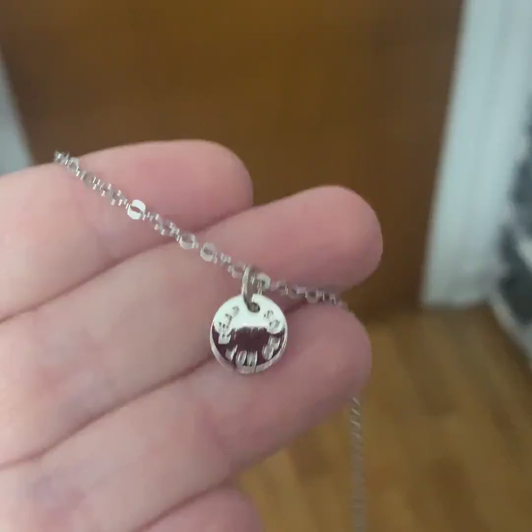 Do Not Fear Silver Coin Necklace